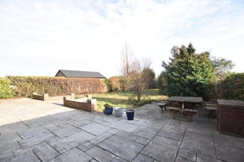 NEW GARDEN 2.JPG