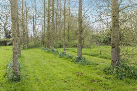 Tree Walk