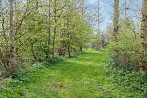 Tree Walk