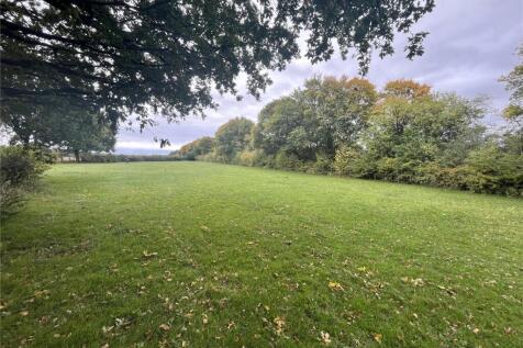 Sep Neg Paddock