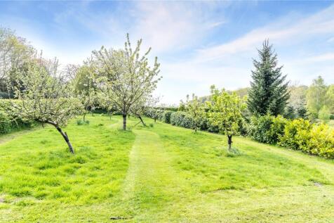 Orchard