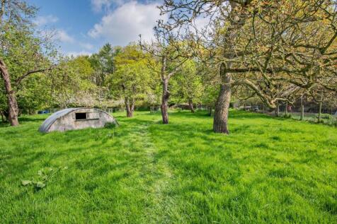 Orchard