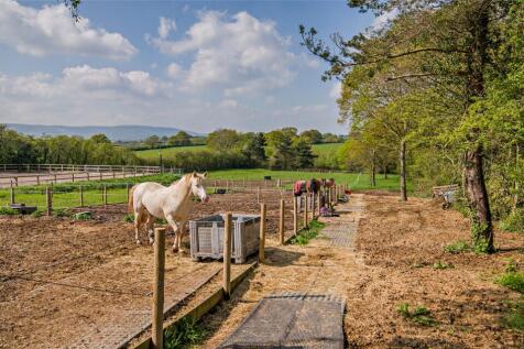 Paddocks