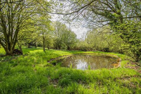 Wildlife Pond