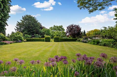 Alium Bed