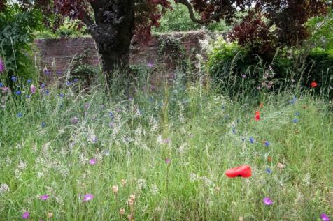 Meadow Garden
