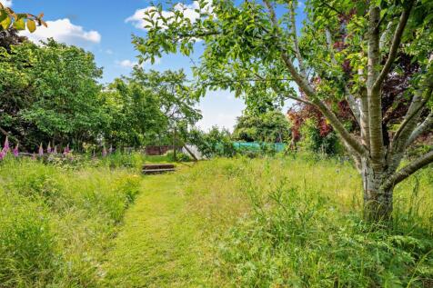 Meadow Garden