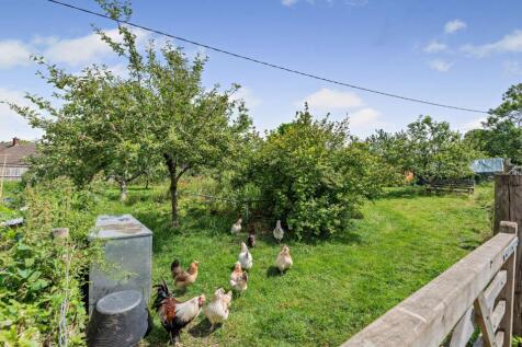 Allotment