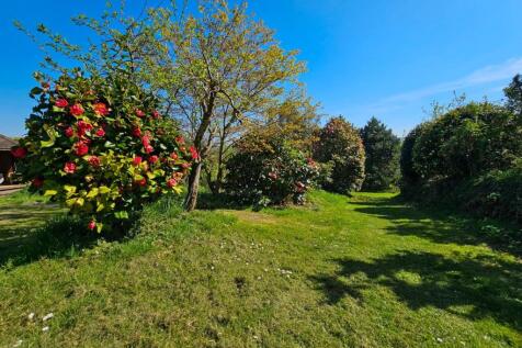 Orchard