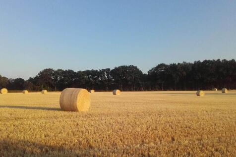Marsham Views  2.jpeg
