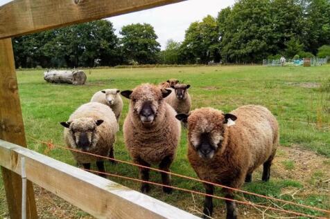 Marsham Views 3.jpeg