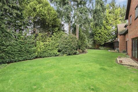 Property Image 19