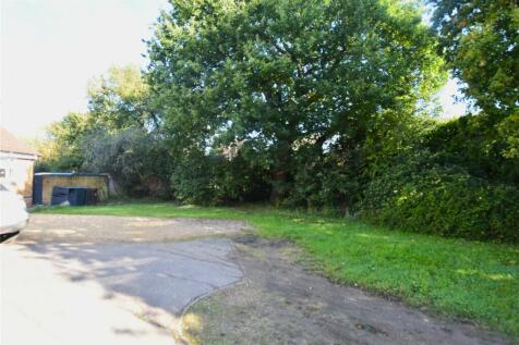 Picture 15