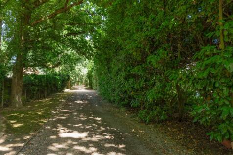 Royal Avenue, Whitstable