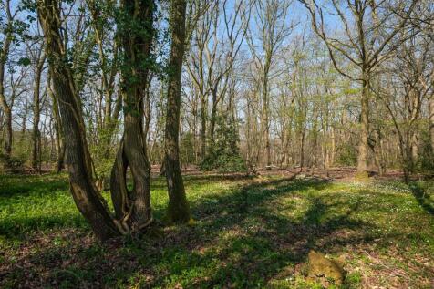 Pean Hill, Whitstable