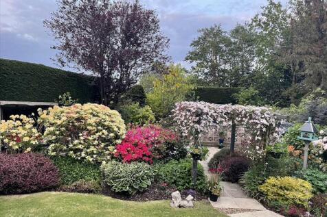 Rear Garden - Summer