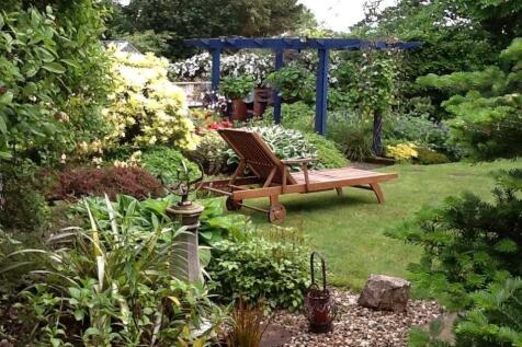 Rear Garden - Summer