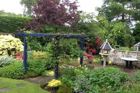 Rear Garden - Summer