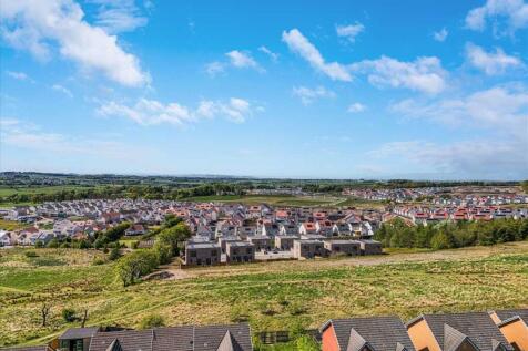 Aerial View -