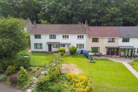Aerial View -