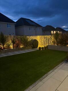 Garden in Evening
