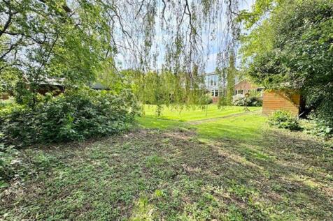 View from under willow tree
