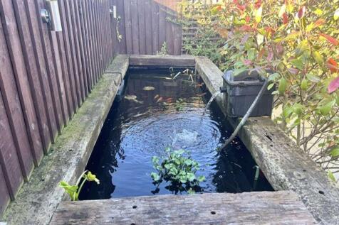 Pond