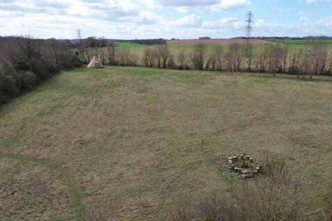 main field photo 5