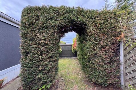 Garden view 3