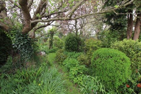 Rear Garden photo 3