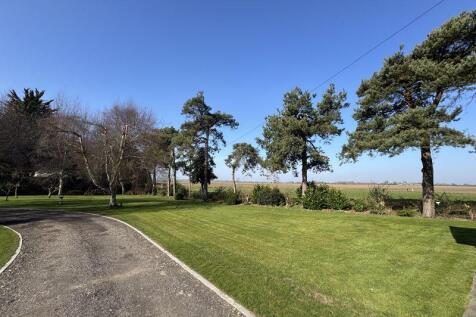 Garden view 2 