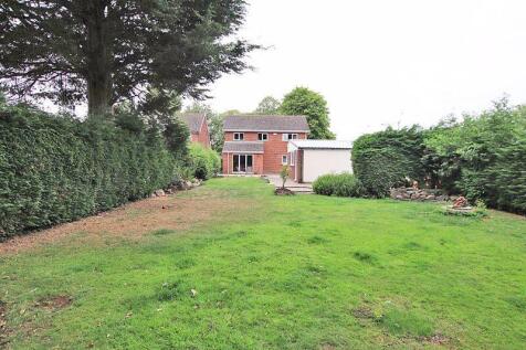 Rear garden photo 3