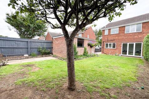 Rear garden view 2