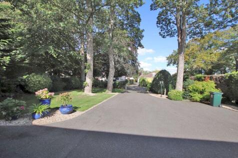Driveway and entrance 