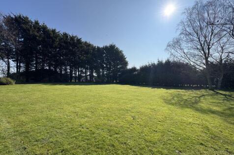 Grounds view 5 