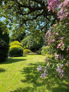 clients own image of garden.jpg