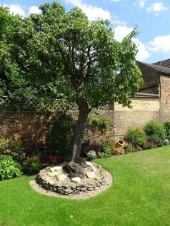 Rear Garden I