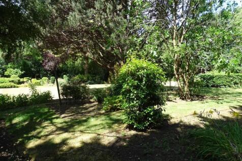 Rear Garden D