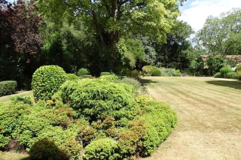 Rear Garden F