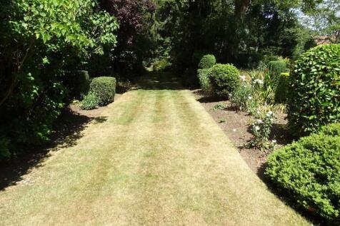 Rear Garden I