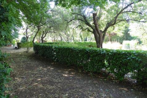 Rear Garden K