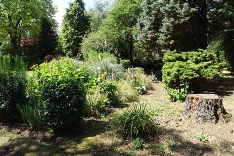 Rear Garden P