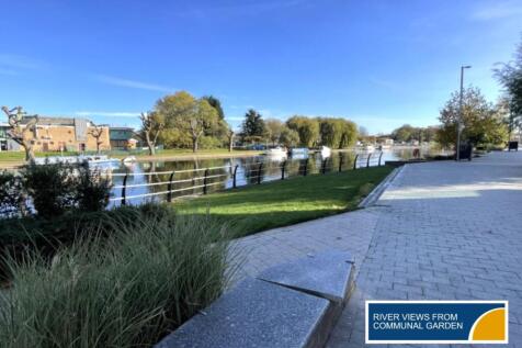 View from Communal Garden