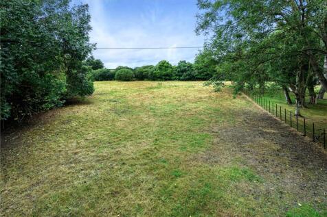 Grounds