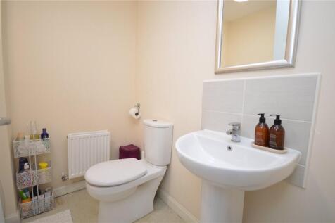 Picture 15