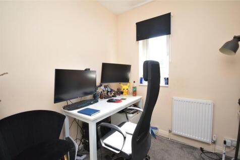 Picture 8