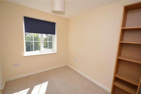 Picture 7