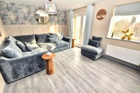 Lounge/Bedroom