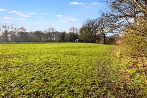 Playing Field View
