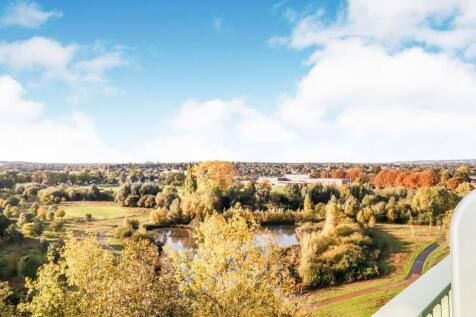 Panoramic View